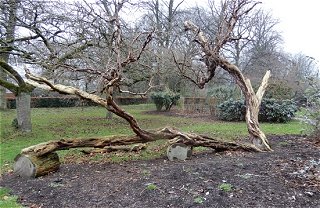 Calderstones Park MykoGolfer