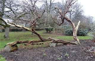 Calderstones Park  MykoGolfer