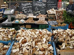 Market Stall MykoGolfer