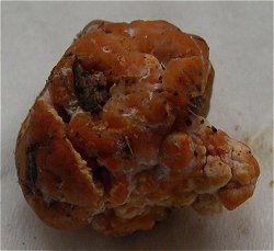 orange lump  MykoGolfer