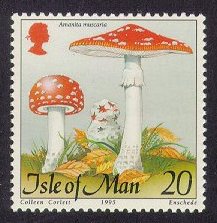 [Amanita muscaria]