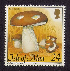 [Boletus edulis]