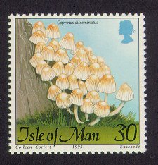 [Coprinus disseminatus]